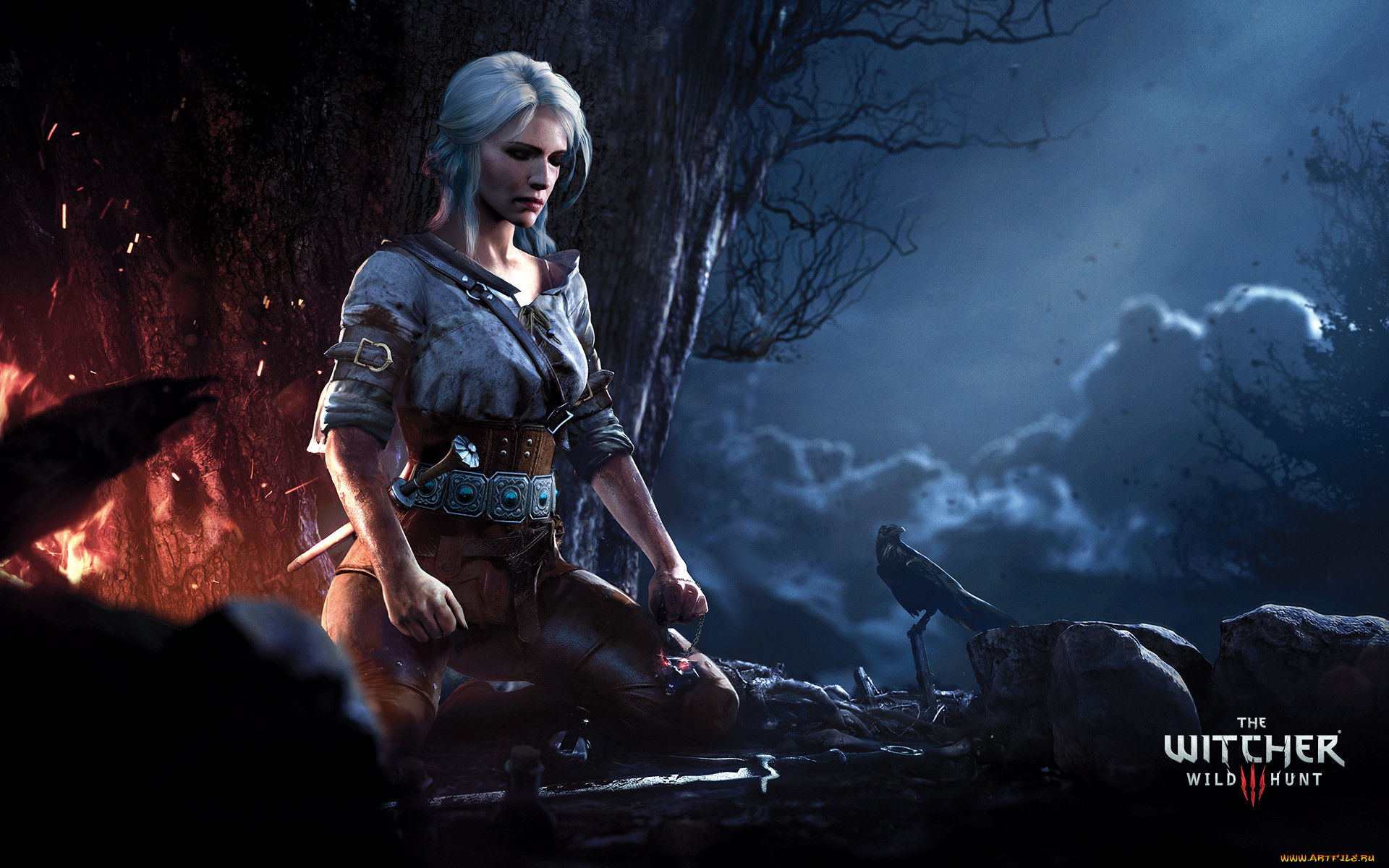  , the witcher 3,  wild hunt, , , , , 